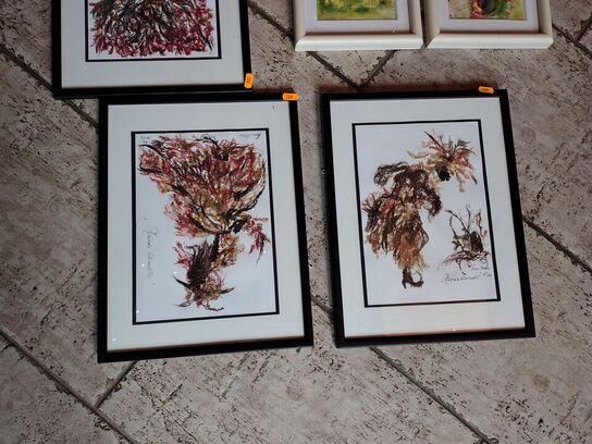 5 Anna Svane billeder