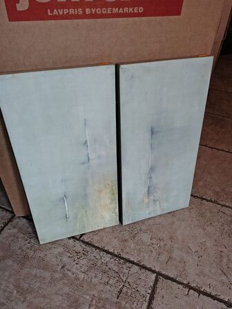 12 Anna Svane billeder