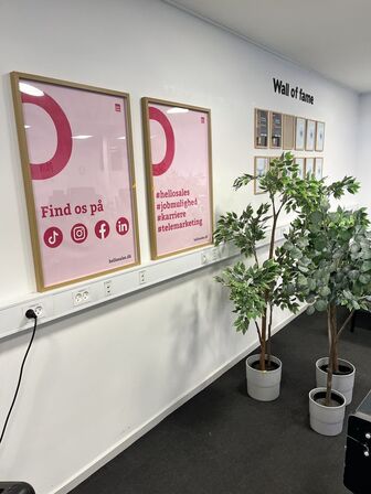 Div. Rammer inkl. Planter (plast)