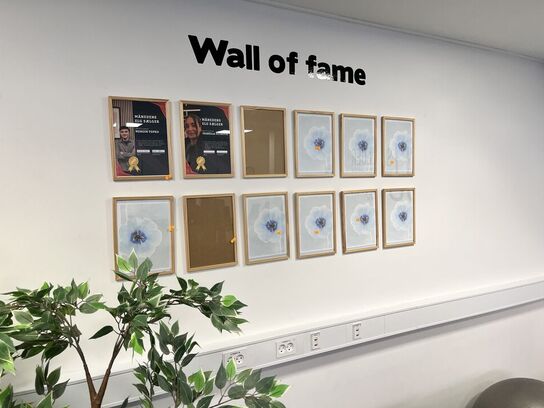 Div. Rammer inkl. Planter (plast)