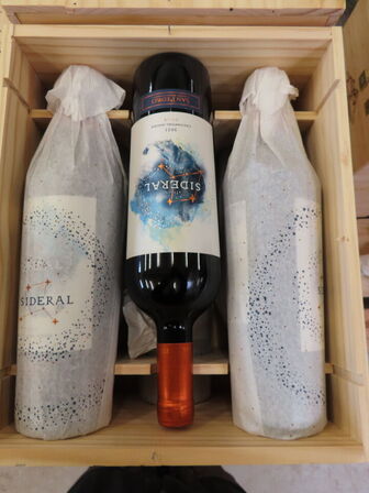 6 fl. rødvin, SAN PEDRO SIDERAL, Cachapoal Andes 2021