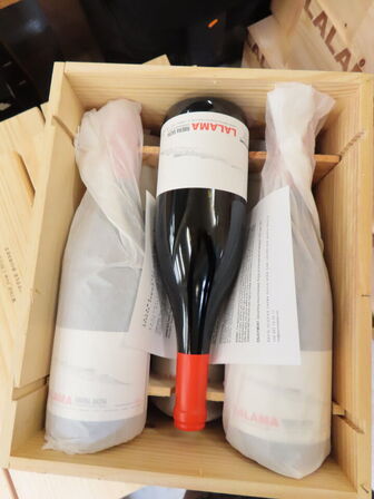 6 fl. rødvin, DOMINIO DO BIBEI LALAMA, Ribeira Sacra 2021