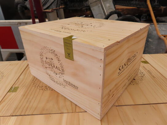 6 fl. rødvin, SAN PEDRO SIDERAL, Cachapoal Andes 2021