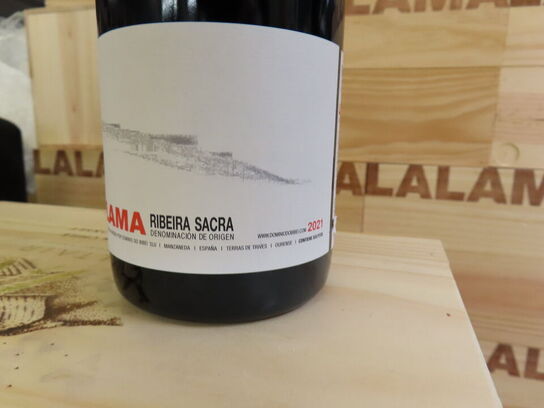 6 fl. rødvin, DOMINIO DO BIBEI LALAMA, Ribeira Sacra 2021