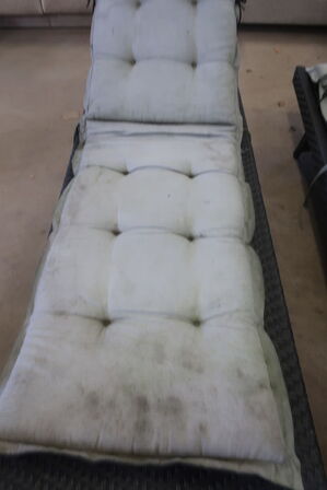 2 Havesenge + Hynder