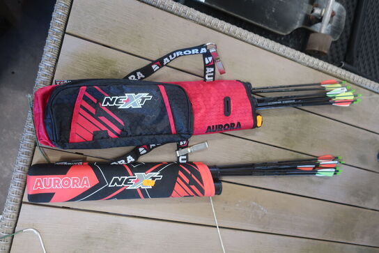 Bue + Pilesæt RAGIM MATRIX, AURORA