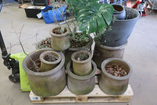 Parti Plantekrukker med indhold