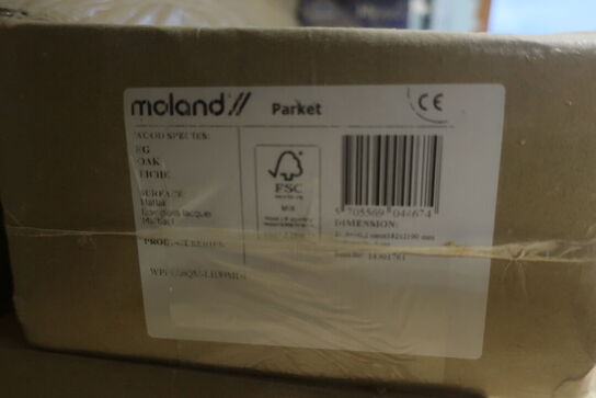 parketGulv MOLAND og my style