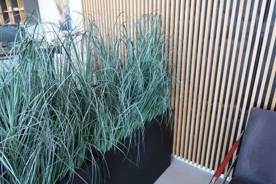 2 stk. plantekummer med planter