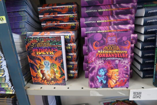 4 fag lagerreoler med div. Bøger