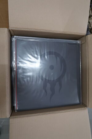 DVD'er, LP'er THE VISION ABLAZE, CD'er I'LL BE DAMNED m.m.