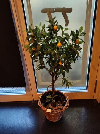 Kunstig citrusplante. 