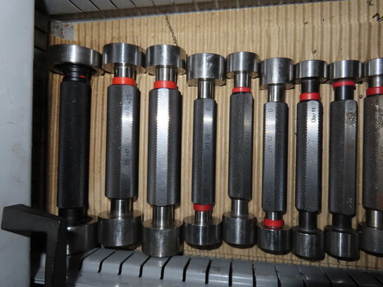 Sortiment grænselærdorne