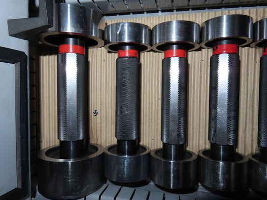 Sortiment grænselærdorne