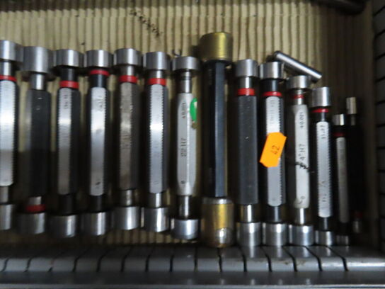 Sortiment grænselærdorne