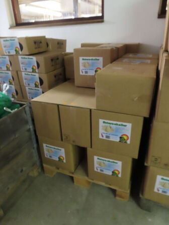 Parti østers skaller