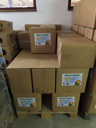 Parti østers skaller