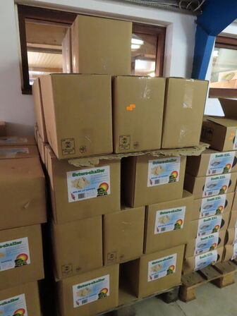 Parti østers skaller