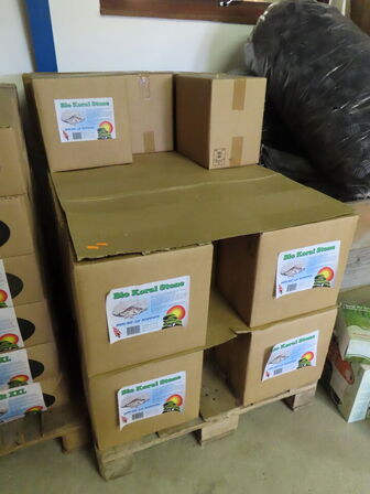 Parti Bio koral sten