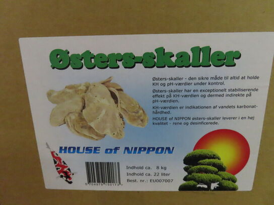 Parti østers skaller