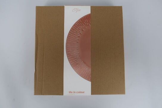 8 pk. Aida LIFE IN COLOUR - Aricot