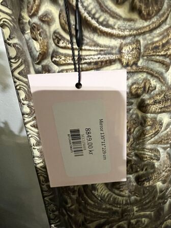 Stort spejl 135x11x229 cm