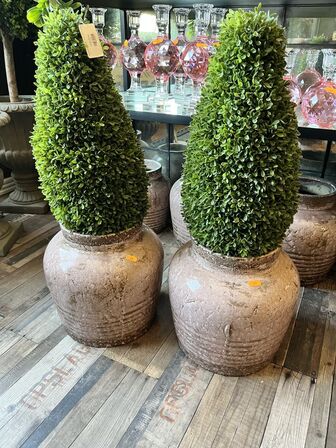 2 stk. Vaser m. Plante