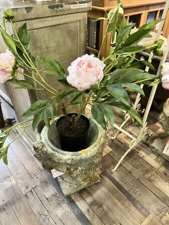 2 stk. Potte m. Plante