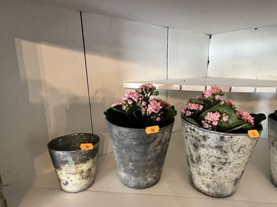 6 stk. Vaser m. Blomster