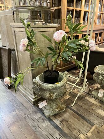 2 stk. Potte m. Plante