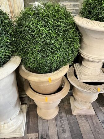 2 stk. Potter m. Plante