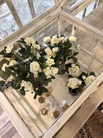 Glasmontre m. Indhold