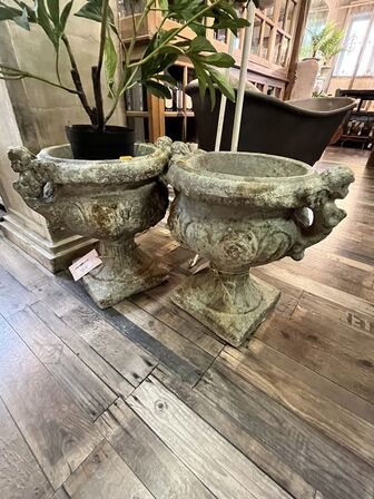 2 stk. Potte m. Plante