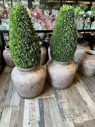 2 stk. Vaser m. Plante