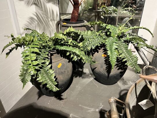 2 stk. Potter m. Planter