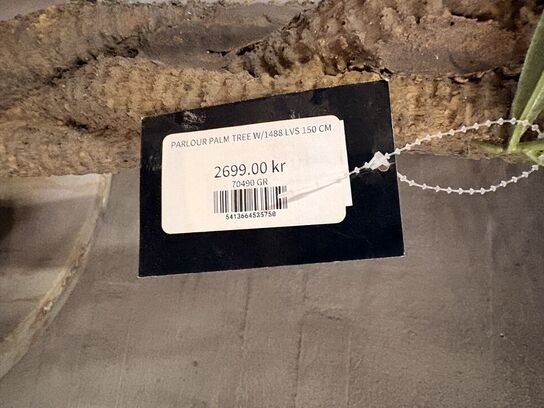 Plante m. Potte 150 cm.