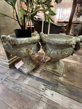 2 stk. Potte m. Plante