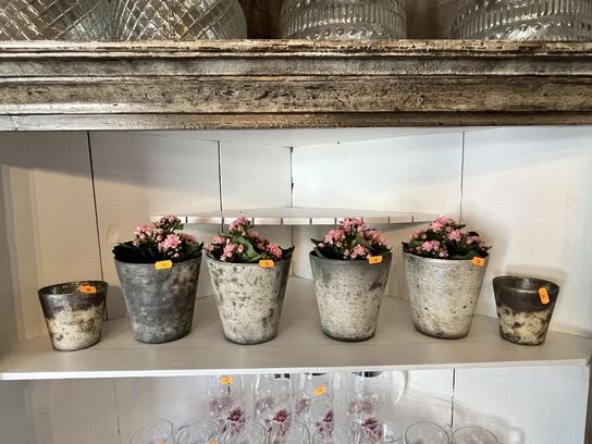 6 stk. Vaser m. Blomster