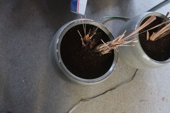 2 stk. krukker med planter