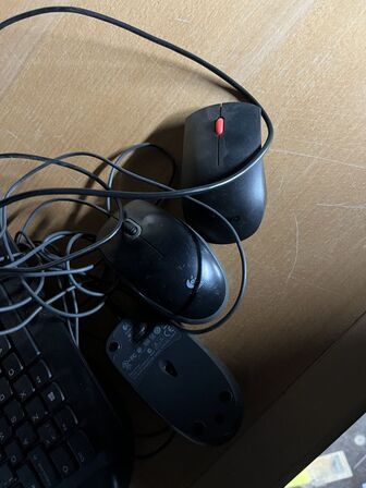 4 stk. 19" PC skærme LG  W1946S inkl. NComputing enhed