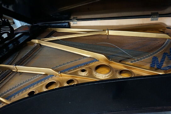 Hornung og Møller flygel (MOMSFRI)