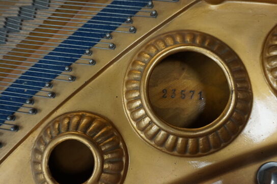 Hornung og Møller flygel (MOMSFRI)