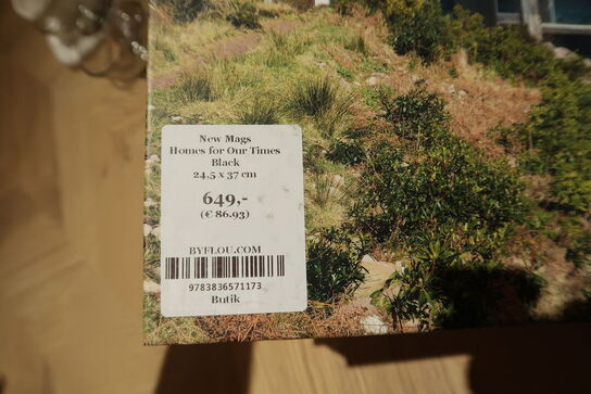 Bog NEW MAGS Homes for Out Times