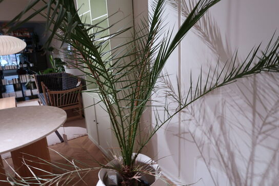 Vase BROSTE CPH Florentina Vase - XL- Off White