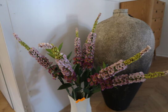 Vase FERM LIVING Cueva Vase H37 med div. Kunstige blomster