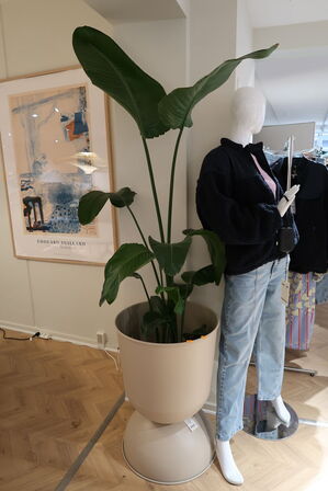 Plante i krukke FERM LIVING Hourglass Pots Cashmere