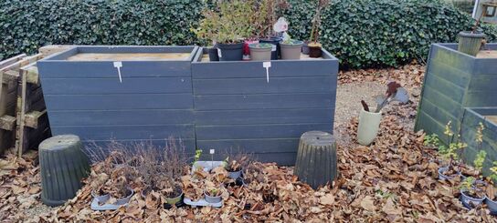 Butiksinventar (OBS: Læs beskrivelse!)