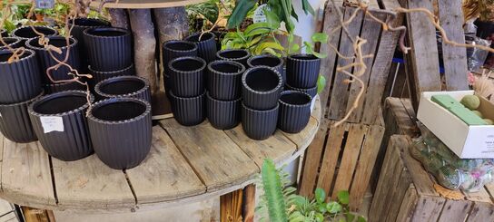 Butiksinventar (OBS: Læs beskrivelse!)