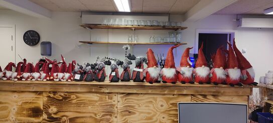 Varelager og salgsvarer i butik (OBS: Læs beskrivelse!)