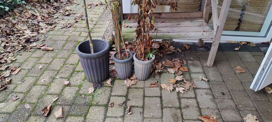 Butiksinventar (OBS: Læs beskrivelse!)